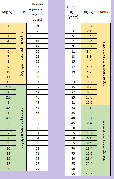 dog age table